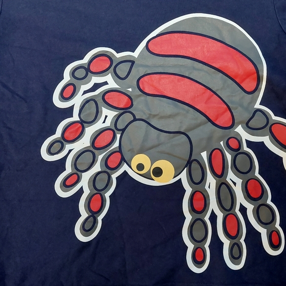 Another arachnid! - Picture 2 of 10